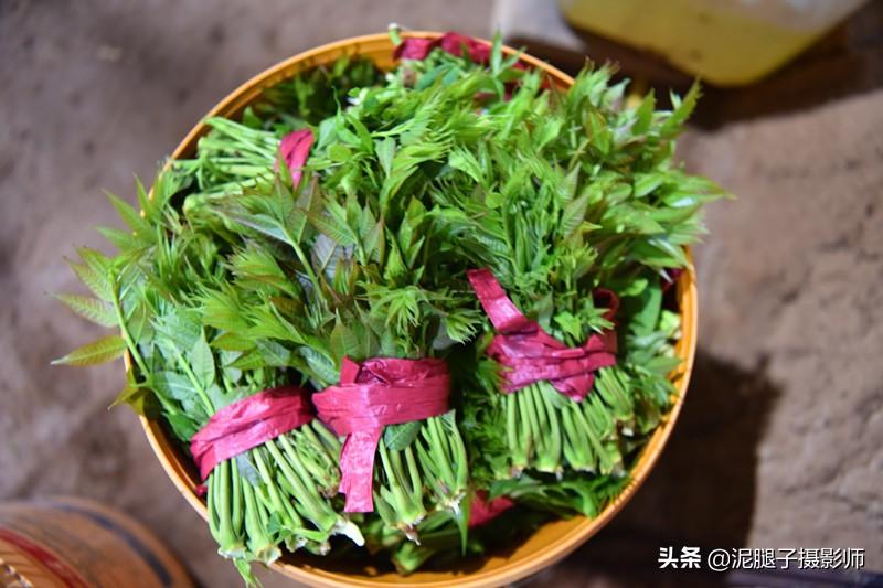 山西農(nóng)民大棚里種香椿，9分地種植70000苗，28元1斤，收入保密