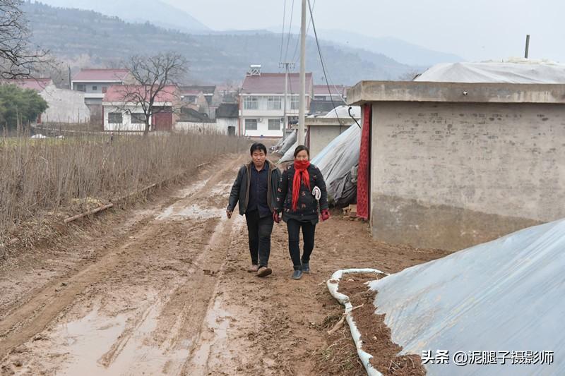 山西農(nóng)民大棚里種香椿，9分地種植70000苗，28元1斤，收入保密