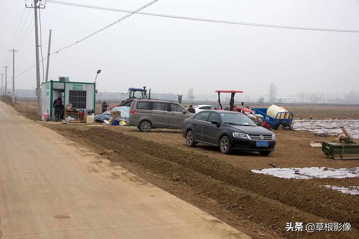 江蘇人到安徽種藥材，年盈利300多萬：有人聽起來像笑話