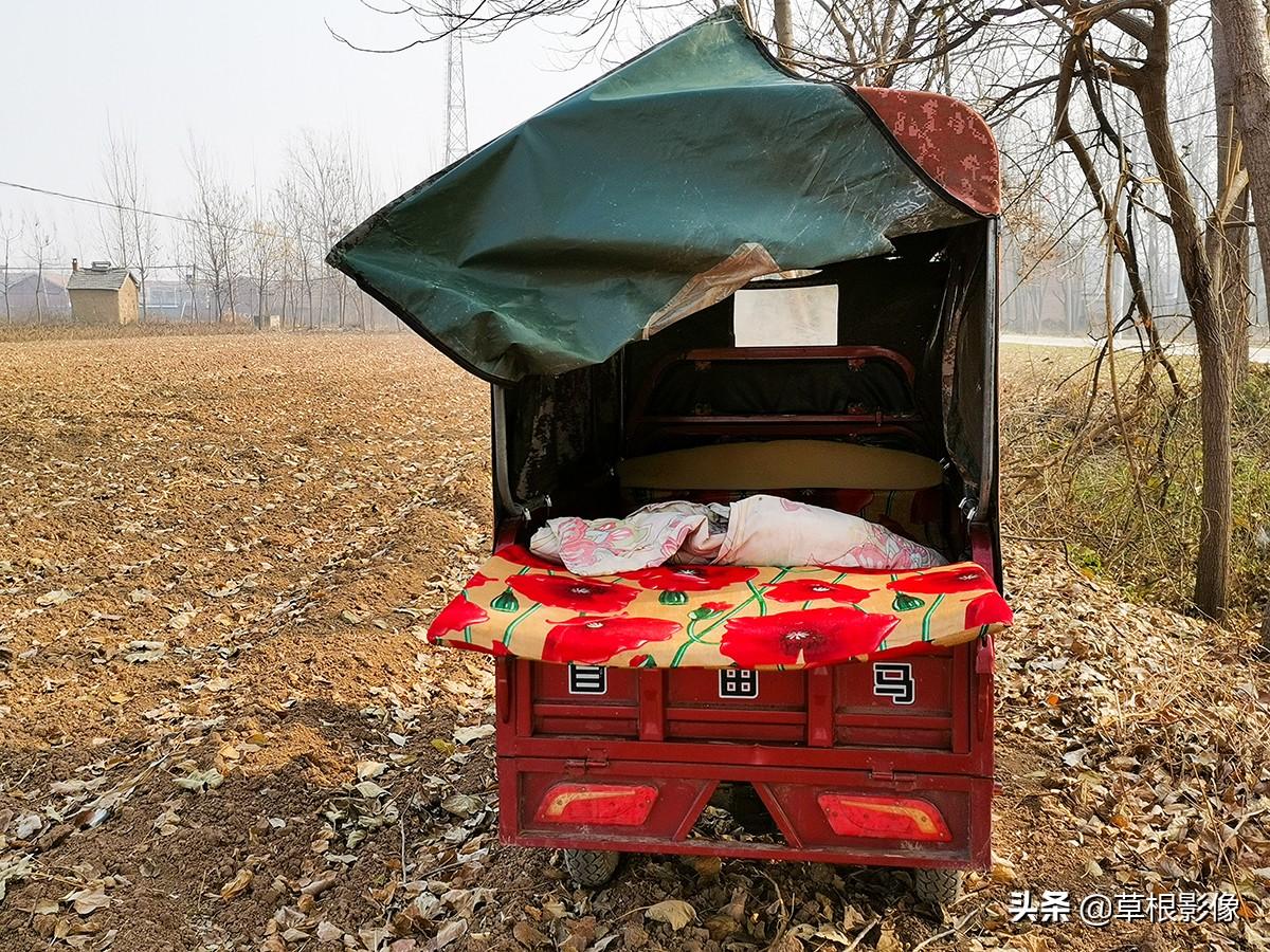 江蘇人到安徽種藥材，年盈利300多萬：有人聽起來像笑話