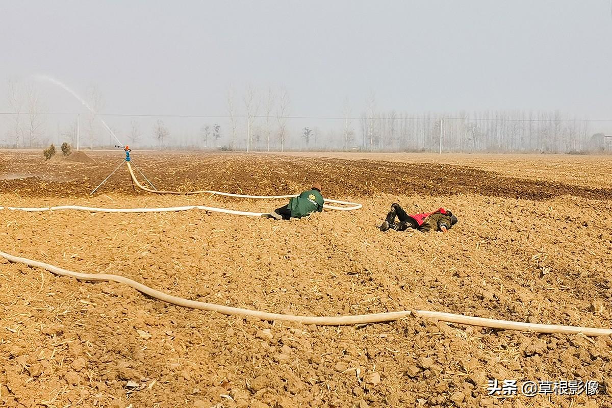 江蘇人到安徽種藥材，年盈利300多萬：有人聽起來像笑話